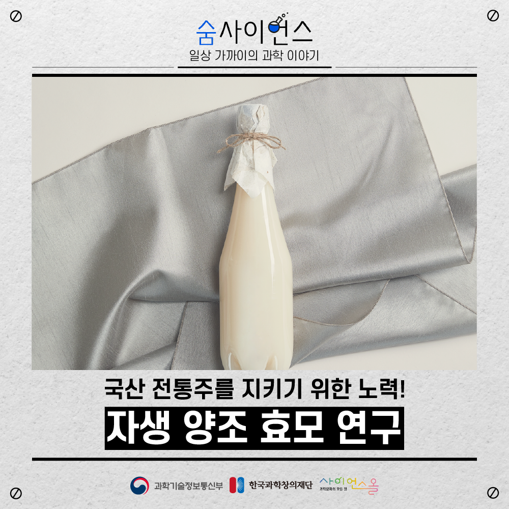 [숨사이언스]국산 전통주를 지키기 위한 노력! 자생 양조 효모 연구