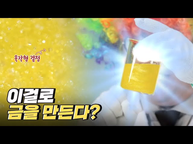 [핫클립] 해초 분말로 금을 만드는 실험