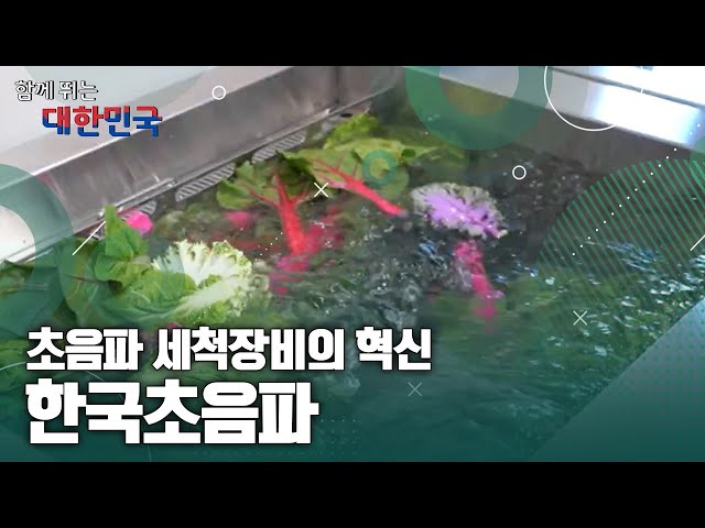함께 뛰는 대한민국 – 한국초음파
