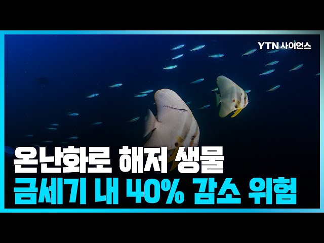 [과학뉴스] 온난화로 해저 200~1,000m 생물 금세기 내 40% 감소 위험