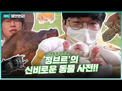 자연과 교감하는 이색 동물 유튜버, ‘정브르’