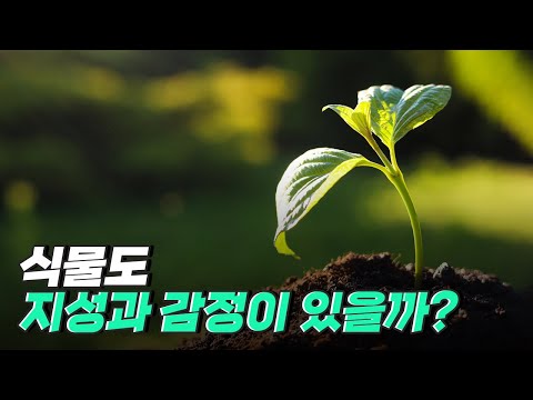 [핫클립] 식물에게 우리의 말과 감정이 전달이 될까?