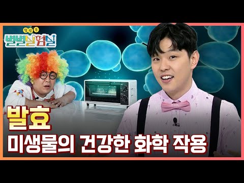 [별별실험실] 정디슨의 발효 호떡 만들기