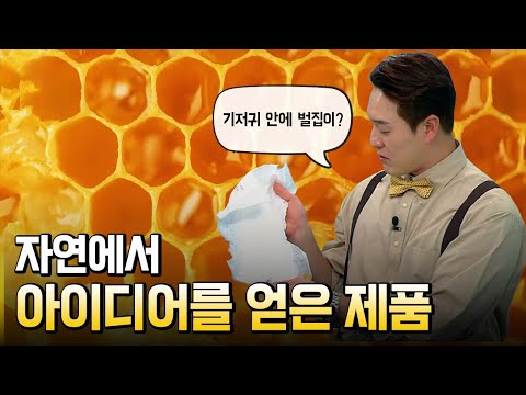 흡착판·벨크로·기저귀 이 물건들의 공통점은?
