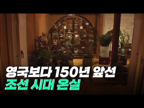 [핫클립] 스마트 농업의 대표 시설, 식물 공장