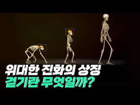 [핫클립] 사족보행보다 4배 더 효율적인 이족보행