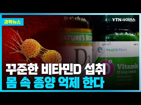 [과학뉴스] 비타민D 꾸준히 복용하면 암 사망 위험 줄인다