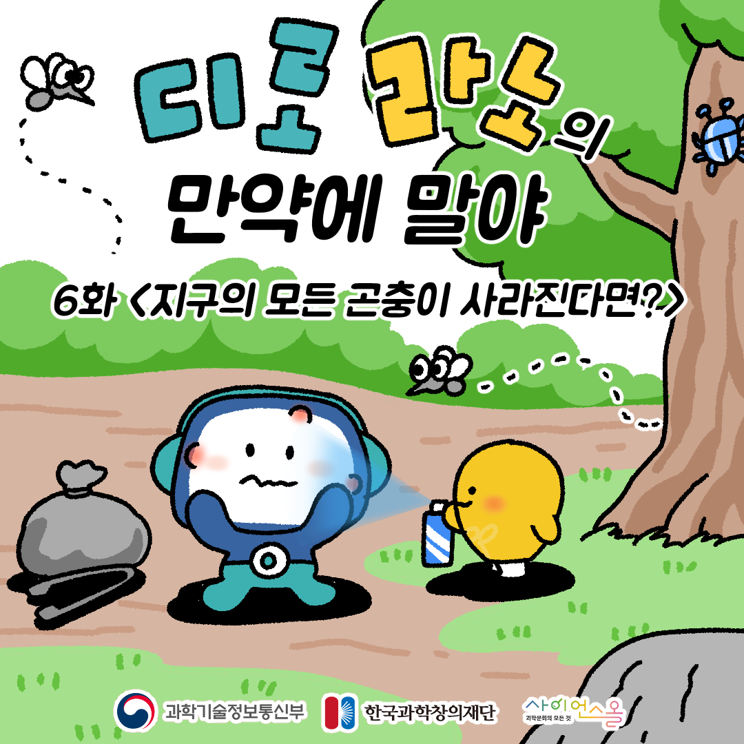 6화