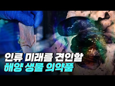 [핫클립] 고부가가치 산업이 될 해양 바이오 산업