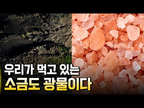 우리 몸속에도 광물이 있다? / 별별실험실