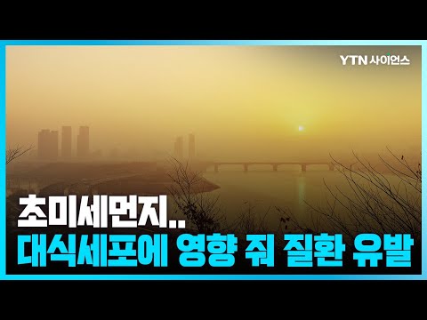 [과학뉴스] 초미세먼지, 대식세포에 영향 줘 독성 유발하는 듯