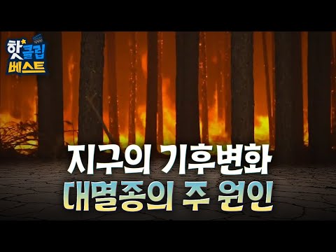 [핫클립 베스트] 지구의 5차 대멸종의 공통적인 원인은 무엇일까?