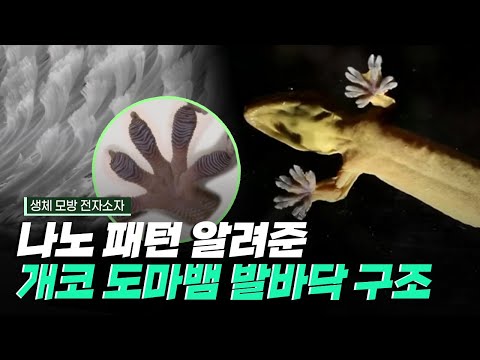 [핫클립] 연구의 전환점이 된 생체 모방 전자소자