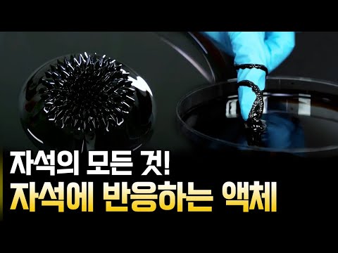 몰랐던 자석의 비밀을 알아본 시간