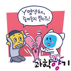 [과학향기 에피소드] 남성성을 결정하는 Y염색체, 암도 결정한다?