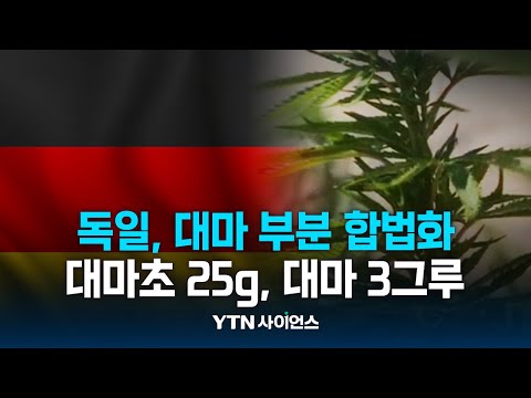 독일 대마초 부분 합법화…”18세 이상 25g까지 보유”
