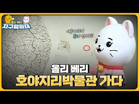 대동여지도에 독도가 없는 이유🤔