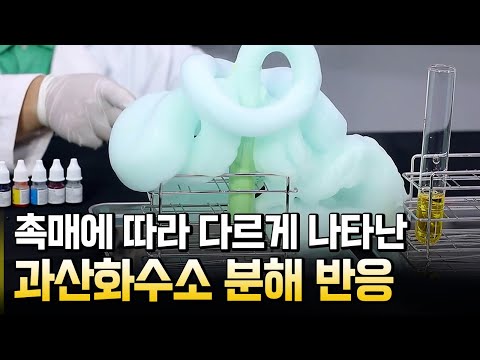 촉매에 따른 반응속도