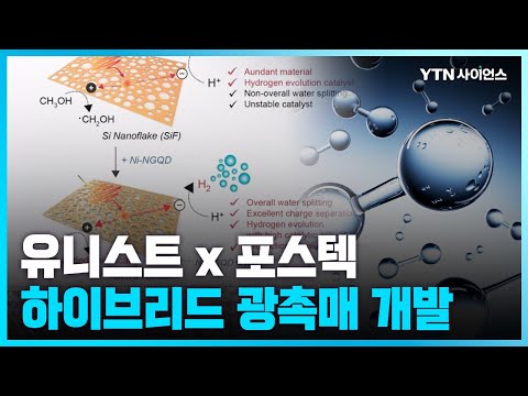 [과학뉴스] 수소·고부가화합물 동시 생산하는 광촉매 개발
