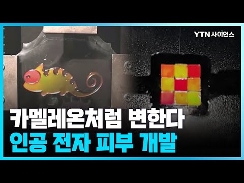 [과학뉴스] 포스텍, 카멜레온처럼 색 변화 가능한 전자 피부 개발
