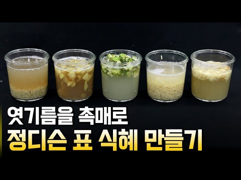 식혜에는 왜 쌀이 들어 있을까?