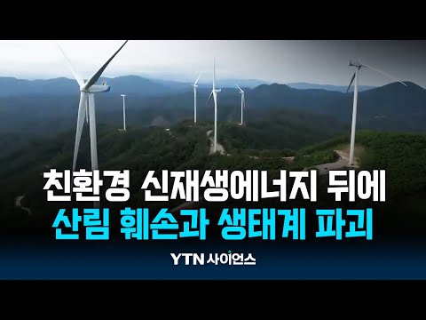 ‘친환경’ 풍력발전단지…설치 현장은 ‘산림 파괴’
