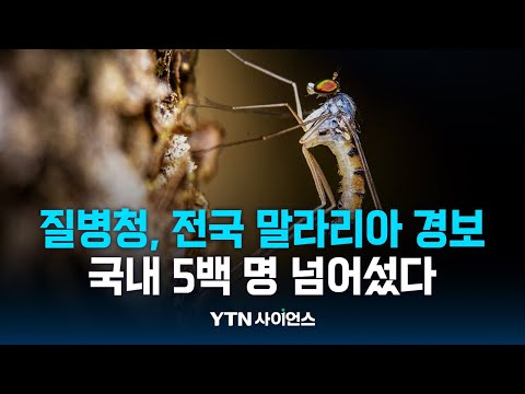 5백 명 넘은 말라리아 환자 … 9월까지 조심해야