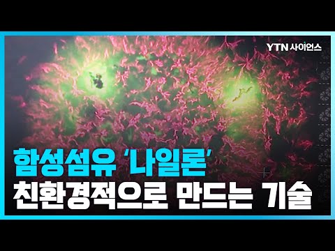 [과학뉴스] 미생물 이용해 친환경적으로 나일론 만드는 기술 개발