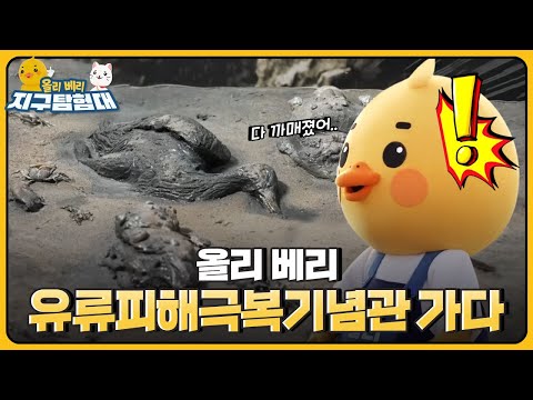 태안 🛢기름 유출 사고의 순간을 확인해보았어요.