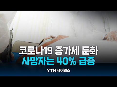 감염등급 전환 시기 연기.. 코로나19 증가세는 둔화됐지만 사망자는 40% 급증