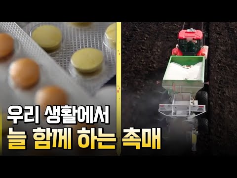 우리 생활에서 늘 함께하는 촉매