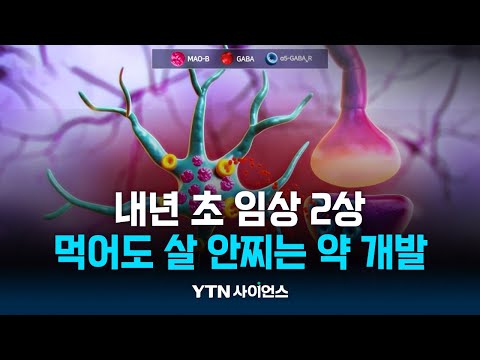 먹어도 살 안찌는 약 개발…비밀은 뇌에 있었다!