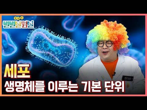 [별별실험실] 생명을 이루는 가장 작은 단위, 세포