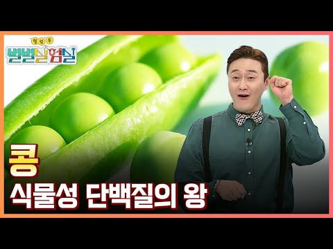 [별별실험실] 콩닥콩닥 콩 한 알, 과학 한 줌