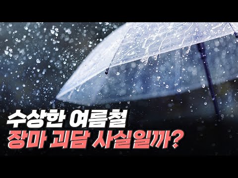 [핫클립] 장마괴담은 과연 사실일까?