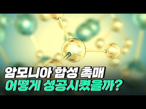 [핫클립] 암모니아 합성 촉매는 어떻게 이루어졌을까?