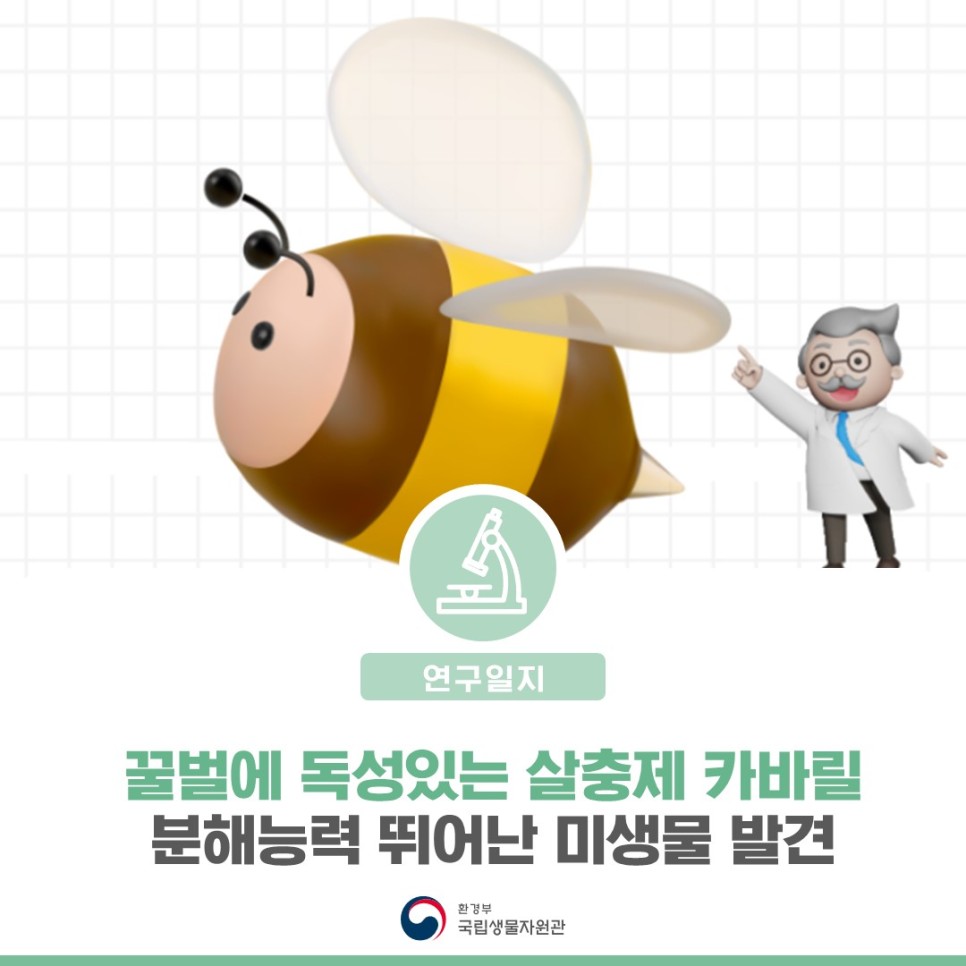 [연구일지] 꿀벌에 독성 있는 살충제 카바릴 분해 능력 뛰어난 미생물 발견