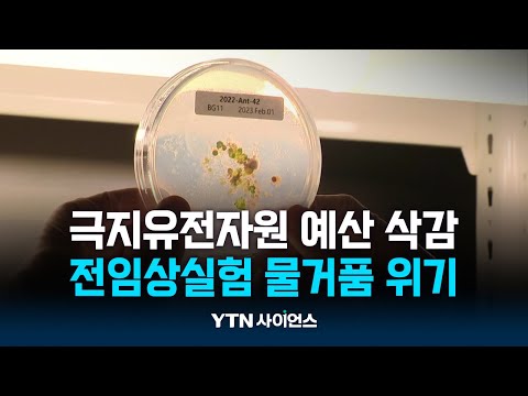 ‘치매 치료제’ 후보물질 찾았는데…예산 삭감에 물거품 위기