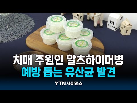 치매 주원인 알츠하이머병 예방 돕는 토종 유산균 발견
