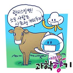 국내 최초 럼피스킨 확산에 축산업 ‘비상’, 무슨 병이길래?