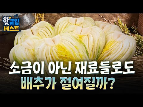 [핫클립 베스트] 소금이 아닌 재료들로도 배추가 절여질까?