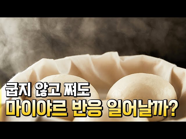 맛있는 화학반응! 마이야르 반응