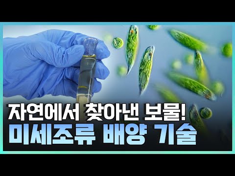 [기술자들] 인류의 건강과 안전을 책임지는 기술