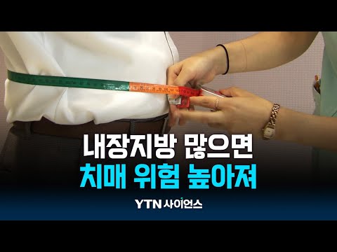 “내장지방 많으면 치매 위험 높아져”