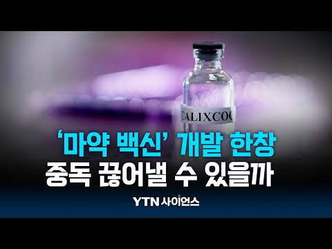 ‘마약 백신’ 개발 한창…지독한 ‘중독’ 끊어낼 수 있을까?