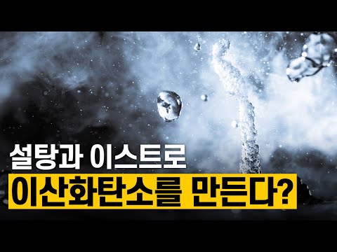 [핫클립] 이스트와 설탕으로 이산화탄소 공급 장치를 만든다?