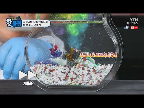 [핫클립] 금속염의 삼투 현상으로 화학 수조 만들기
