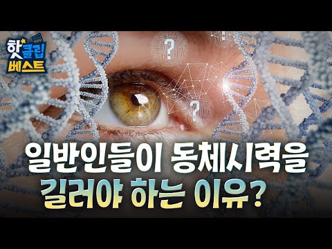 [핫클립 베스트] 일반인들이 동체시력을 길러야 하는 이유