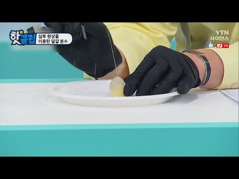 [핫클립] 삼투 현상을 이용한 달걀 분수