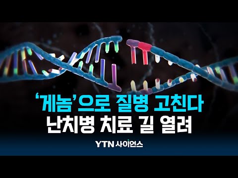 ‘인간 게놈’ 보물창고 열렸다…난치병 치료 길 열려